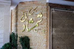 shemshad (11)